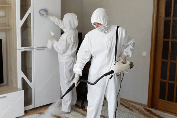 24/7 Emergency Odor Removal experts in Clinton, OH